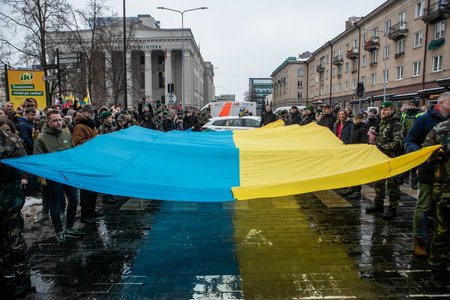 Флаг Украины на шествии в Вильнюсе