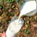 USKUMATU | Riknenud piimal on mitmeid kasutusvõimalusi