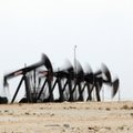 В Европе может появиться новая крупная нефтегазовая компания