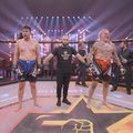Никиту Джигурду опять побили на ринге — на этот раз Алибасов-младший
