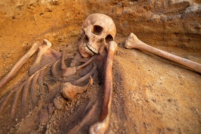 На данный момент в ходе раскопок на улице Татари обнаружено 10 скелетов. По всей вероятности, люди стали жертвами эпидемии чумы.
