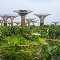 SIHTKOHT | Singapur — linn keset aeda