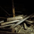 FOTOD | Ootamatu avastus peatas raietööd: Kuramaa metsast leiti 76 aastat puutumatult seisnud Saksa armee punker