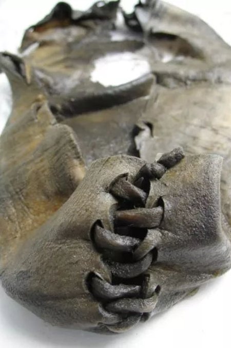 Norrast leitud pronksiaegne kingake