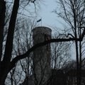 FOTO | Pika Hermanni tornis lehvis täna hommikul paar minutit Eesti lipp tagurpidi