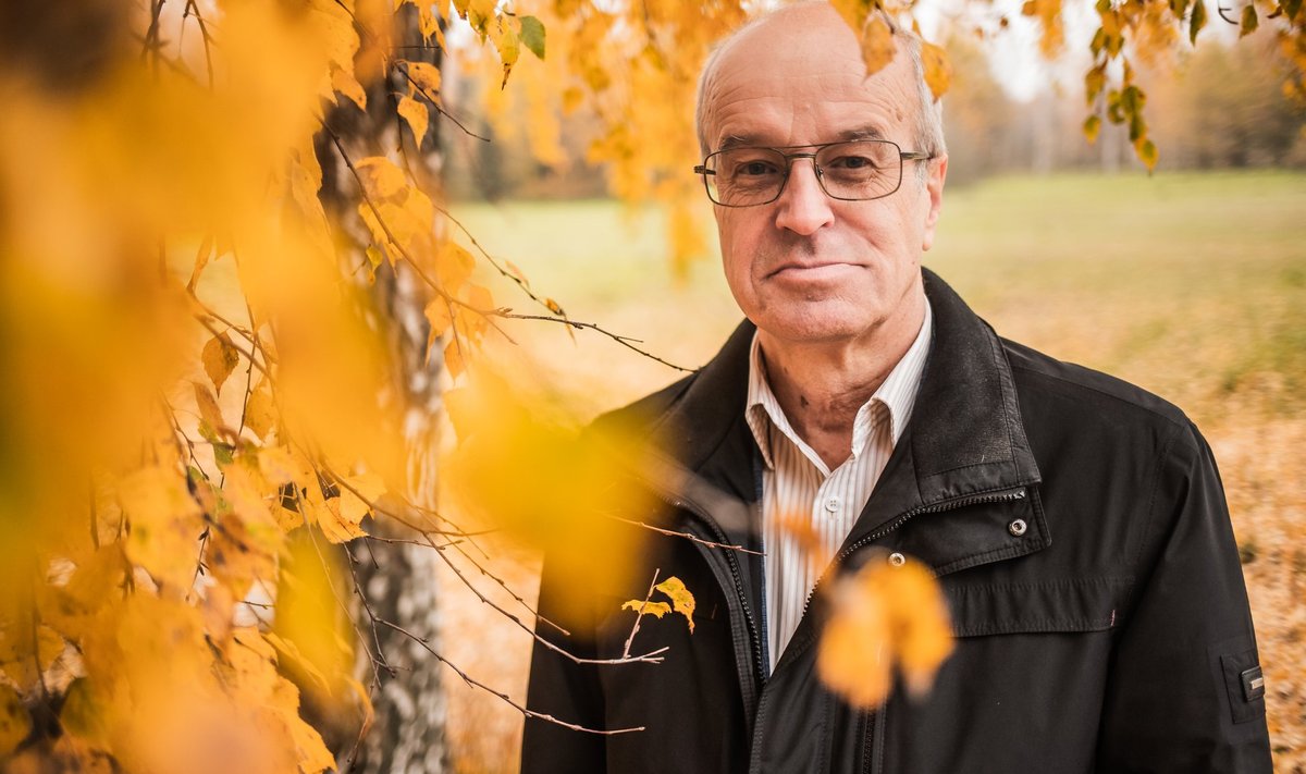 Maaülikooli professor Hardi Tullus tõdeb, et me ei saa metsa ja puidu kaudu maailma päästa ega fossiilseid kütuseid täielikult asendada, aga vähendada saame küll. Metsandus on üks kliimamuutuste lahendusit.