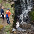 Силламяэские ”зеленые” встречают свой юбилей