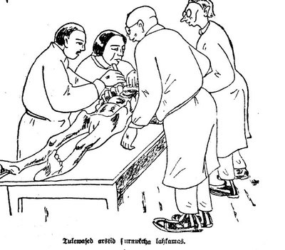 Illustratsioon artiklist pealkirjaga: Tulevased arstid surnukeha lahkamas