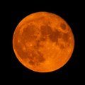Järgmine kord tuleb alles 2025. aastal: homme tõuseb taevasse „verine“ Kuu