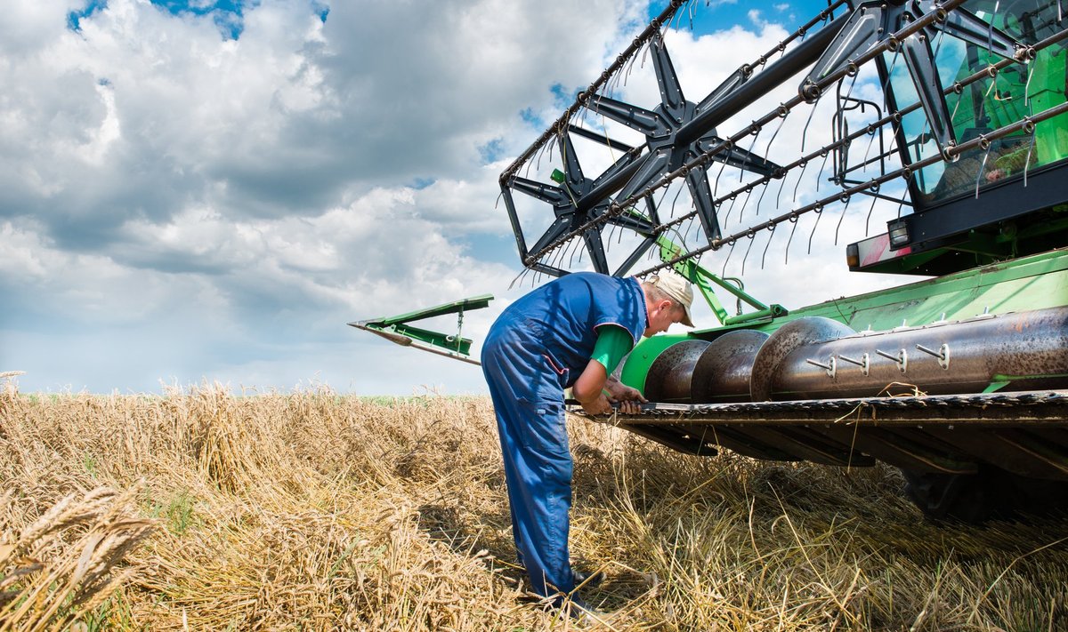 Ukraina on üks maailma suuremaid teraviljaeksportijaid. Seda on sel aastal takistanud Venemaa sissetung.