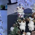 Fotovõistlus „Pühad minu kodus“ | Neutraalsetes toonides jõulupühad