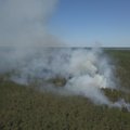 FOTOD | Lääne-Virumaal põles umbes hektari jagu metsa ja raba