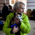 SÕJAPÄEVIK (245. päev) | Vene kirikutegelase vastus murtud südamega emadele: tuleb rohkem lapsi teha!