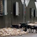 Ühendkuningriigi suurimaid supermarketeid varustavas farmis surid kuumalaine tõttu tuhanded kanad