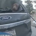 VIDEO | Sekundite mäng! Politseinik päästis põlevast autost koera