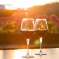 Uuring tõestab: odav vein maitseb külalistele kohe palju paremini, kui selle hind kõrgemaks valetada