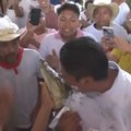 ВИДЕО | Мэр мексиканского города женился на аллигаторе