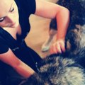 Spetsialist selgitab: 10 põhjust, miks koer vajab massaaži