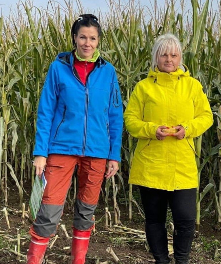 PÜ Kevili tegi septembri algul kaks maisikasvatuse põllupäeva, kus taimekasvatusest rääkis Tiiu Annuk (vasakul) ning silotegemisest Kristiina Märs.