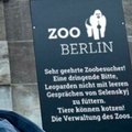 Правда ли, что в зоопарке Берлина появилось объявление с просьбой „не кормить леопардов пустыми разговорами Зеленского“?
