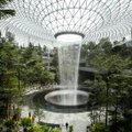 ФОТО: В аэропорту Сингапура открыли гигантский водопад