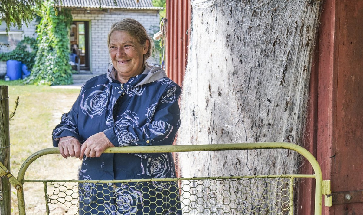 „Tule jälle,“ ütleb Elsa väravalt külalist ära saates.