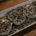 VIDEO: "Maitsed.ee Kokakoolis" õpiti taaskord valmistama imelist brunch'i, menüüs olid nii peedi-veise boeuf la tartar kui Crêpes Suzette