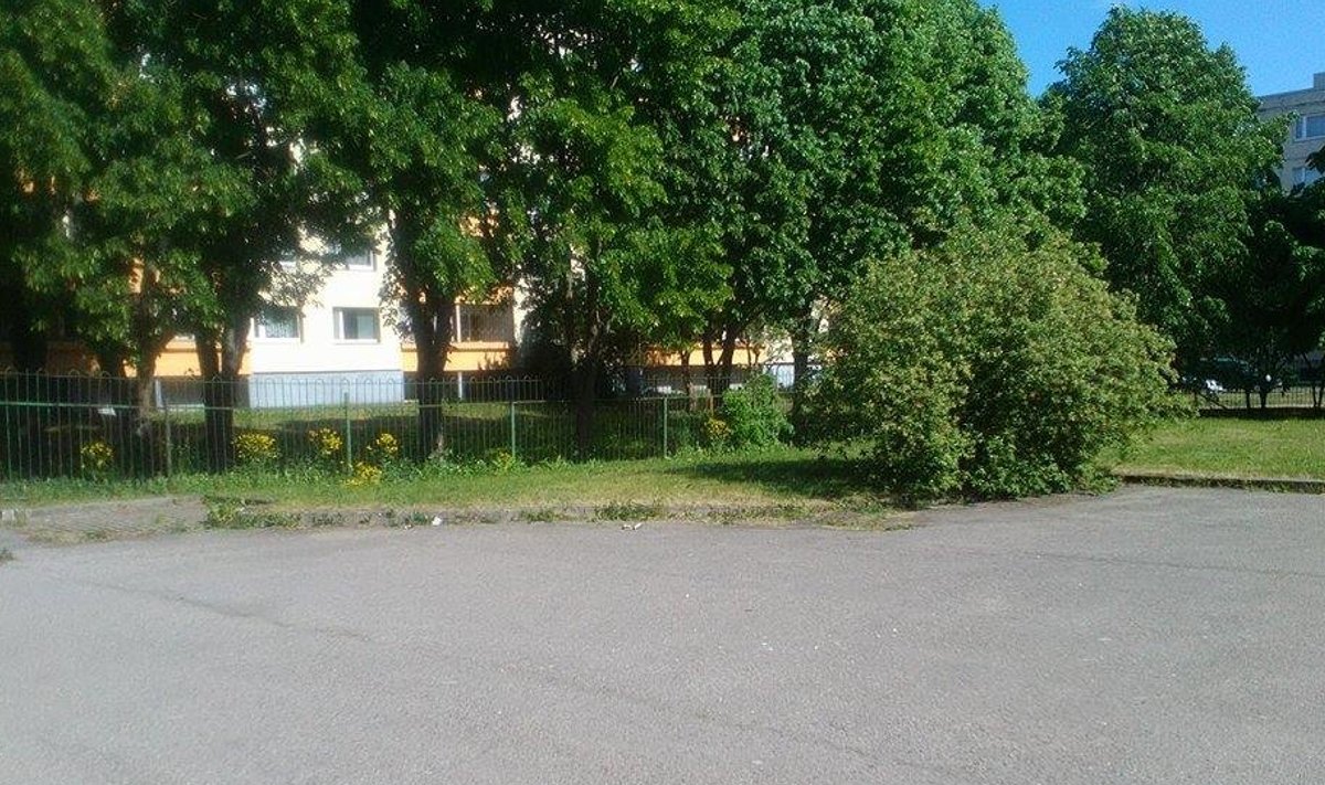 Sündmuskoht
