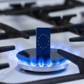 Euroopa seisab silmitsi järgmisel aastal suureneva maagaasi puudujäägiga