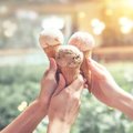 Toitumisnõustaja selgitab: mitu jäätist võib kuumade ilmadega päeva jooksul süüa, ilma et see kehakaalule mõju avaldama hakkaks?