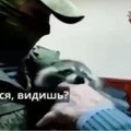 VIDEO | Hersonist varastatud pesukaru hammustas kohalike okupatsioonivõimude ninameest sõrmest