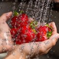Pane tähele: kuidas keemia maasikate pealt kõige paremini maha pesta