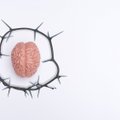 TERVISEUUDISED | 10 punkti madalam IQ? COVIDil on ajutegevusele laastav mõju