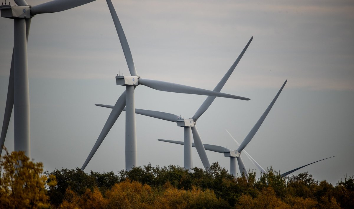 Tuulepark alustab plaanide kohaselt täisvõimsusel tööd 2023. aasta suvel. Fotol ei ole Saarde valda kerkivad tuulikud.