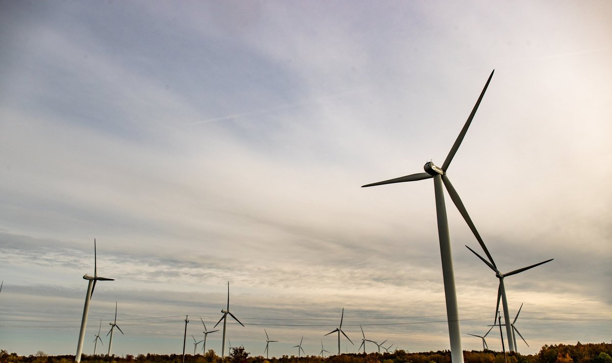 Praegu on kõige soodsam energiatootmise lahendus maismaa tuulepargid.