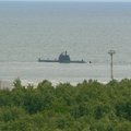 ФОТО: В Мууга видели подводную лодку с эстонским флагом