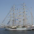 Все флаги в гости будут к нам! Таллинн станет гаванью регаты The Tall Ships Races в 2024