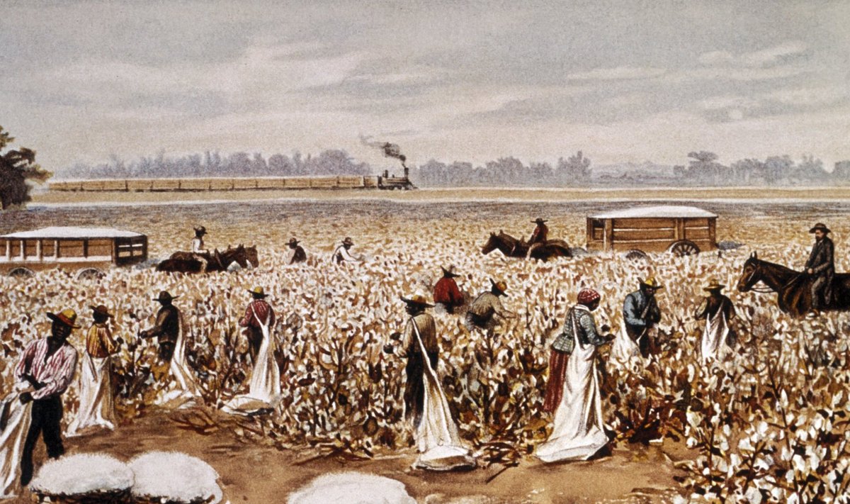 Puuvillaistandus USA-s 1890. aastatel. Herman Hubneri maal. 