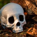 Põhja-Lätist avastati maailma vanim katku surnud inimene