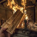 JÄRGMINE PÕLVKOND | Eesti metsaga köetakse soojaks Euroopa linnasid, ise maksame küttepuude eest hingehinda