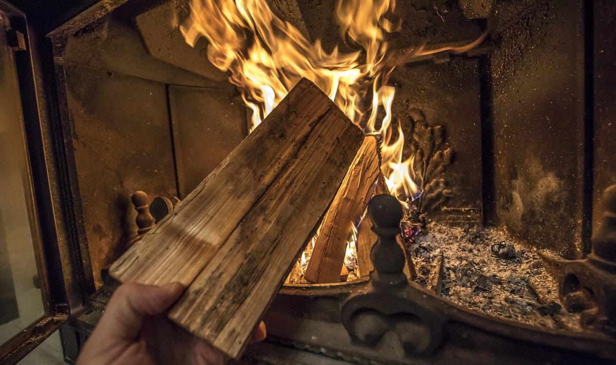 Eesti maksumaksja toetab oma rahakotist puidu põletamist energiatootmises.