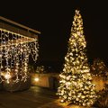 Начать можно с малого: 5 советов по экономии электричества и денег при использовании рождественских гирлянд, которые работают