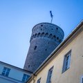 Eesti lipu päeval külastas Pika Hermanni torni ligi 700 inimest