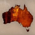 Пожары в Австралии и в мире: замкнутый огненный круг