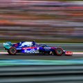 Toro Rosso kaalub 2020. aasta sõitjakohale itaallase kandidatuuri