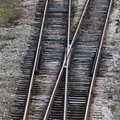 Harju- ja Raplamaa tahavad Uus-Kohilat läbivat Rail Balticu trassi kaardile tagasi