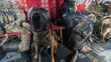 Sõjaväepolitsei koerad harjutasid Ämaris kopteriga lendamist