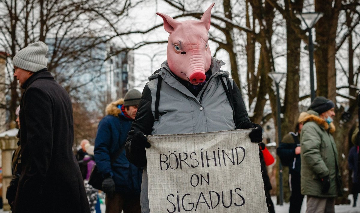 HUVITAV ÜRITUS: Pilt EKRE talviselt meeleavalduselt.