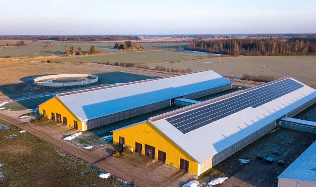 Estonia piimafarmi katusel on 644 päikesepaneeli. See annab 15% kogu farmi energiatarbest.