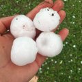 FOTOD | Lätis sadas eile alla golfipallisuurusi raheteri